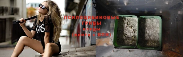 прущие крисы Абинск