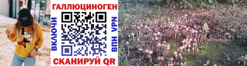 Галлюциногенные грибы Psilocybine cubensis  ОМГ ОМГ   Симферополь 